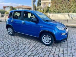 FIAT Panda usata, con Airbag Passeggero
