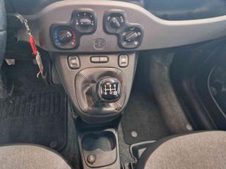 FIAT Panda usata, con Fendinebbia