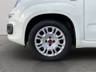 FIAT Panda usata 15