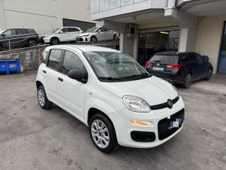 FIAT Panda usata, con Airbag Passeggero