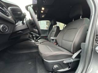 FORD Focus usata, con Fendinebbia