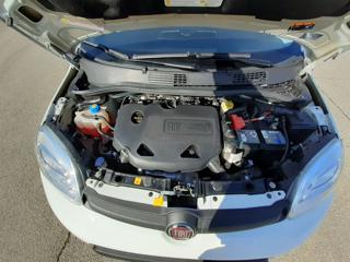 FIAT Panda usata 21