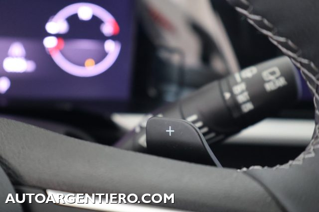 OPEL Grandland usata, con Fendinebbia