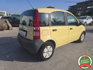 FIAT Panda usata 4