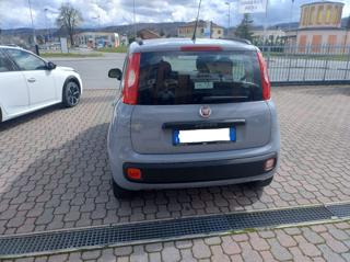 FIAT Panda usata, con Cerchi in lega