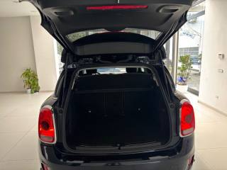 MINI Countryman usata, con Cronologia tagliandi
