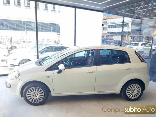 FIAT Punto Evo usata, con Alzacristalli elettrici