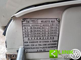 FIAT Campagnola usata 29