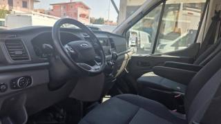 FORD Transit usata 14