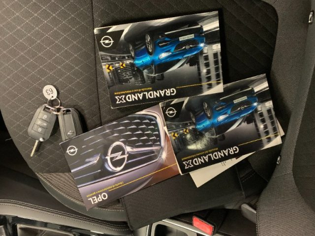OPEL Grandland X usata, con Bracciolo