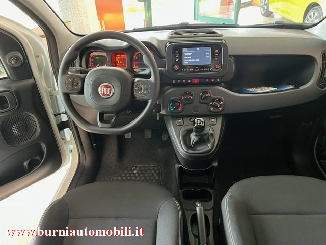 FIAT Panda usata, con Airbag testa
