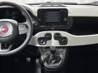 FIAT Panda usata 13