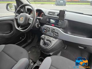 FIAT Panda usata 13