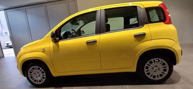 FIAT Panda usata, con Alzacristalli elettrici
