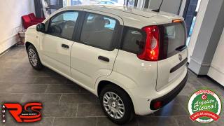 FIAT Panda usata, con Airbag