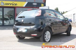 FIAT Punto usata, con Servosterzo