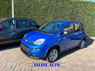 FIAT Panda usata, con Airbag