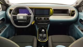 FIAT Grande Panda usata, con Controllo automatico clima