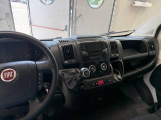 FIAT Ducato usata 9