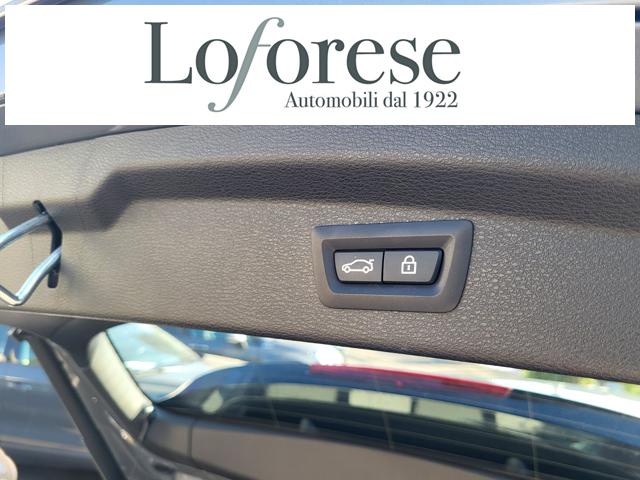 BMW X2 usata, con Servosterzo