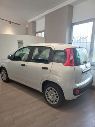 FIAT Pandina usata, con Cerchi in lega