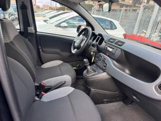 FIAT Panda usata, con Cronologia tagliandi