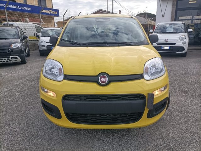 FIAT Panda usata, con Airbag