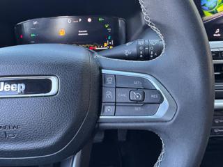JEEP Compass usata, con Park Distance Control