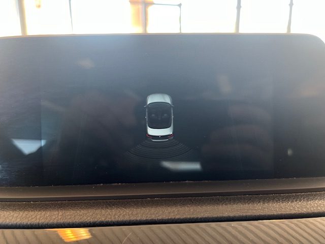 BMW 218 usata, con Immobilizzatore elettronico