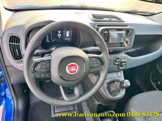 FIAT Panda usata, con Servosterzo