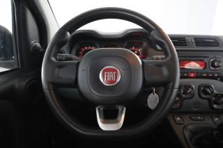 FIAT Panda usata 4