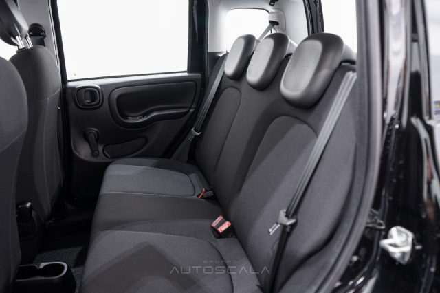 FIAT New Panda usata 18