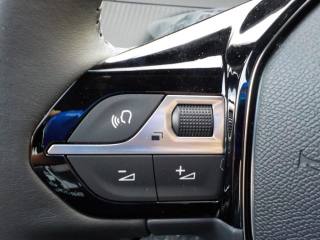 PEUGEOT 2008 usata, con Vivavoce