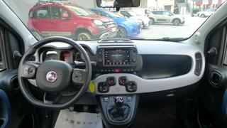 FIAT Panda Cross usata, con Controllo automatico clima
