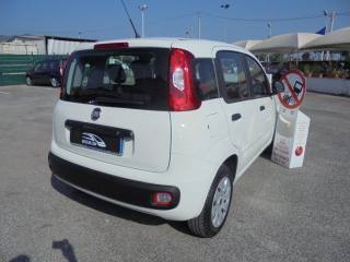 FIAT Panda usata 10
