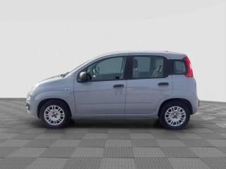 FIAT Panda usata 1