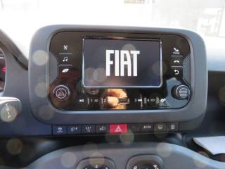 FIAT Panda usata, con Chiusura centralizzata
