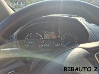 FORD EcoSport usata, con Antifurto