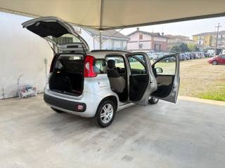 FIAT Panda usata 44