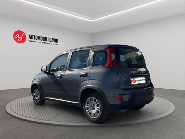 FIAT Panda usata, con Airbag Passeggero