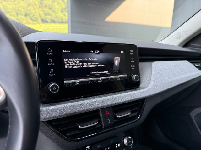 SKODA Kamiq usata, con Fendinebbia