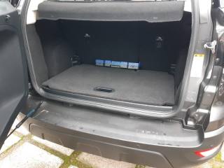 FORD EcoSport usata, con Touch screen