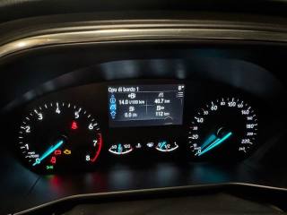 FORD Focus usata, con Cruise Control