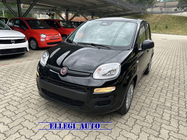 FIAT Panda usata, con Airbag Passeggero
