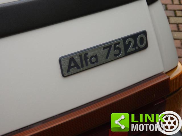 ALFA ROMEO 75 usata 46