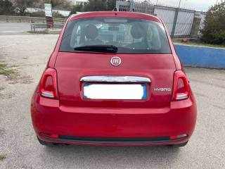 FIAT 500 usata 2