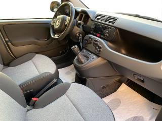 FIAT Panda usata, con Chiusura centralizzata