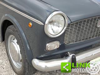 FIAT 1100 usata 29
