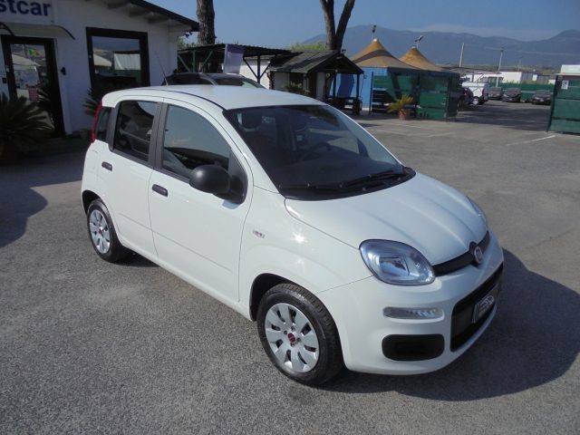 FIAT Panda usata 15