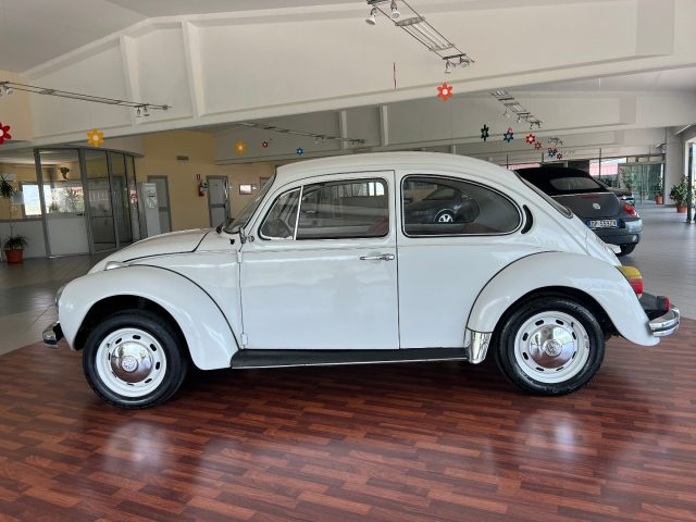 VOLKSWAGEN Maggiolone usata 6